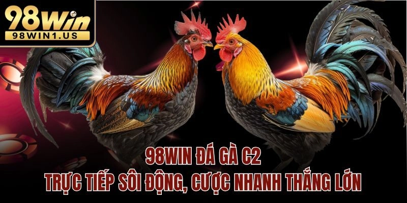 Đá gà c2