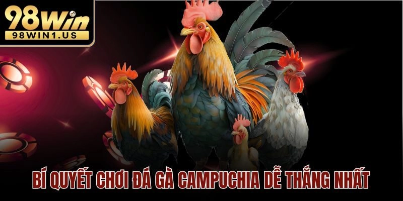 Bí quyết chơi đá gà Campuchia dễ thắng nhất