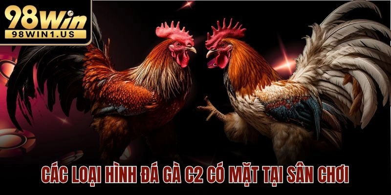 Các loại hình đá gà c2 có mặt tại sân chơi