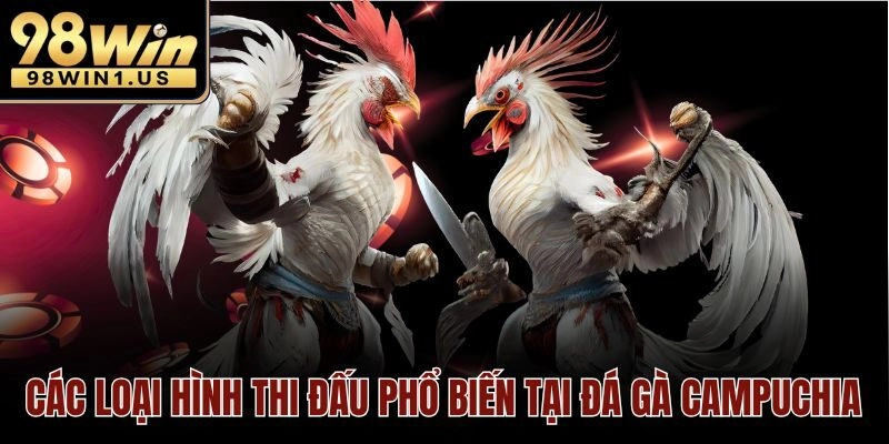 Các loại hình thi đấu phổ biến tại đá gà Campuchia
