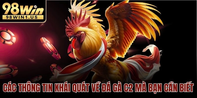 Các thông tin khái quát về đá gà c2 mà bạn cần biết
