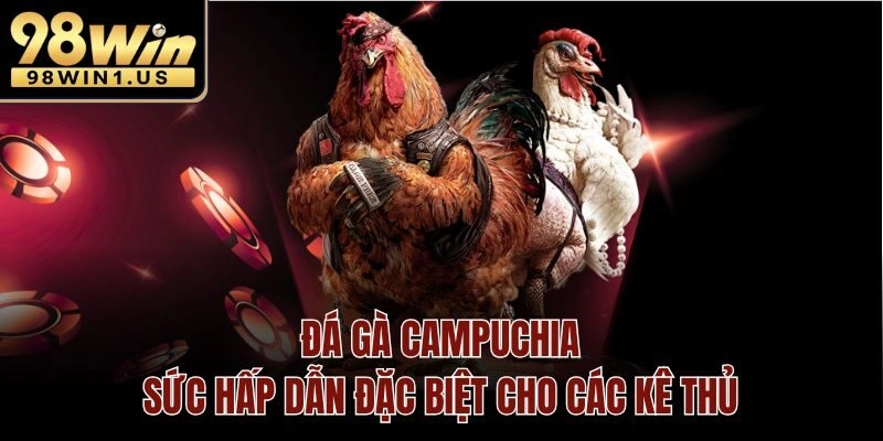 Đá gà Campuchia