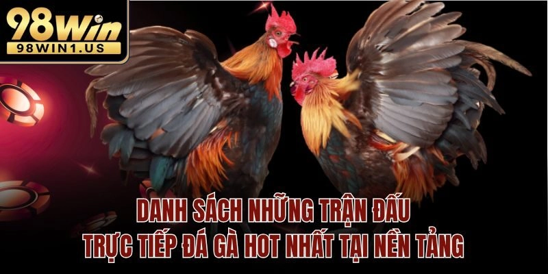 Danh sách những trận đấu trực tiếp đá gà hot nhất tại nền tảng