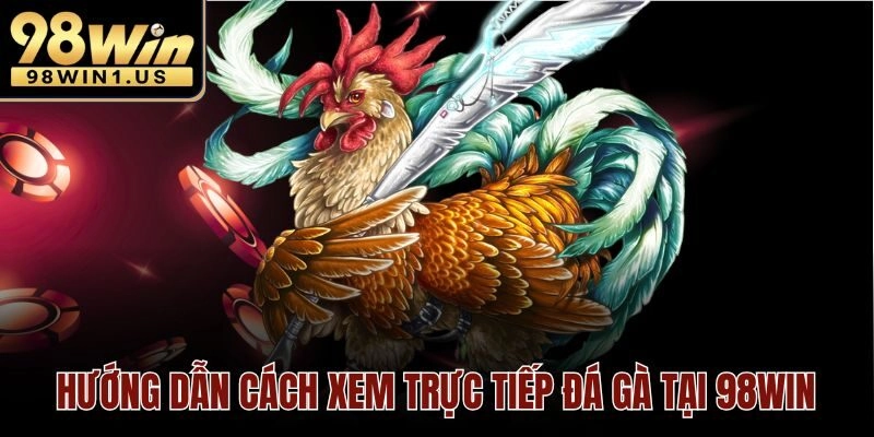 Hướng dẫn cách xem trực tiếp đá gà tại 98win