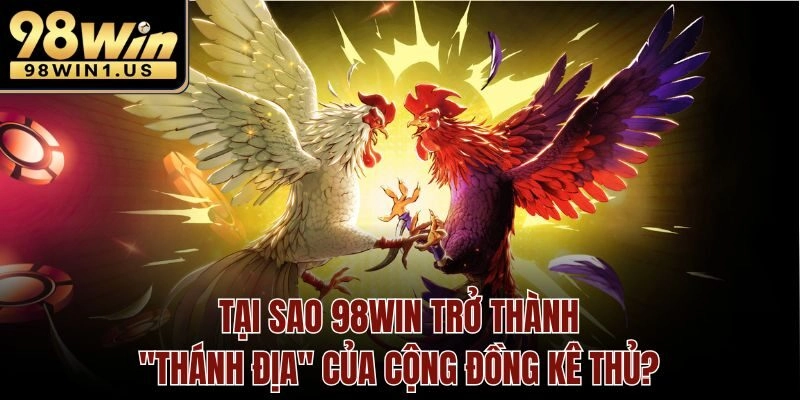Tại sao 98win trở thành "thánh địa" của cộng đồng kê thủ?
