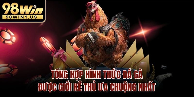 Tổng hợp hình thức đá gà được giới kê thủ ưa chuộng nhất