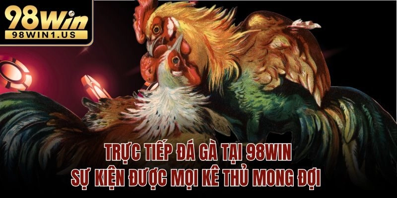 Trực tiếp đá gà